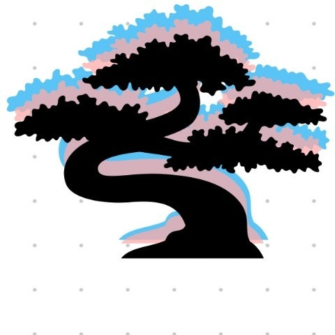bonsai-3d