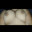 bisex321