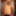 Nick Neversoft