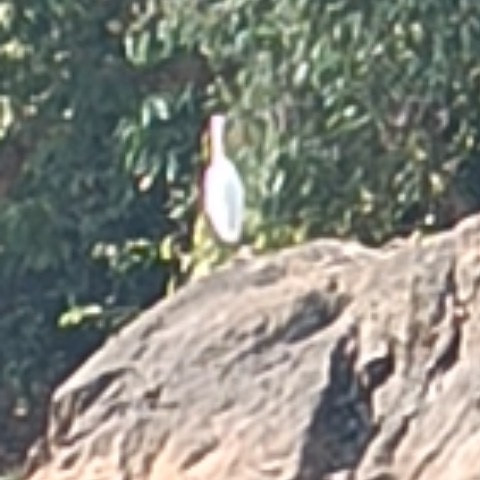 athira1992
