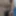 Boss Whiz