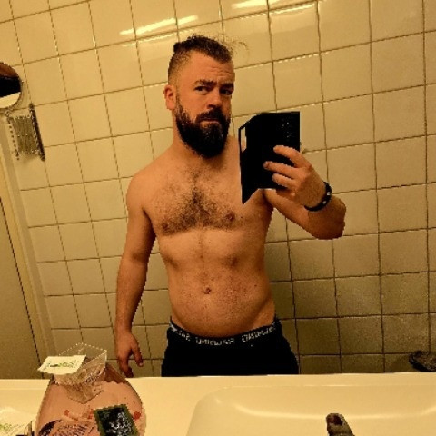 VikingHussar