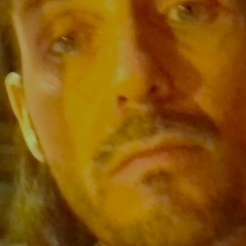 Mr Hollywood 