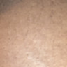 Thick black jay 