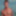 Chris Neal