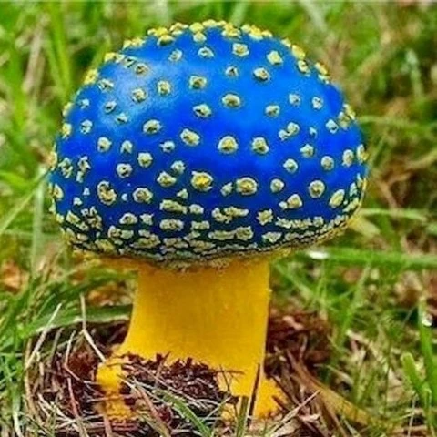 XUNTIAN