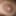 Labli