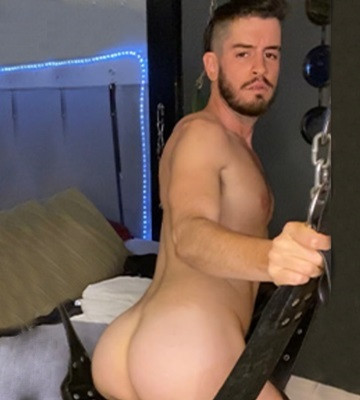 Ace Stallion