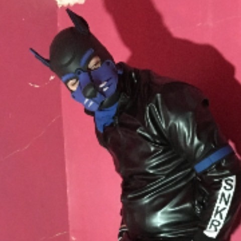 puppyVegeta26 
