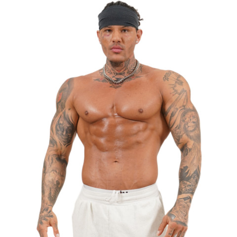 Gemini Jay
