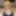 Pornellia