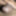 Reena_115