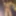 Horriblethunderfuck