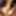 Ans_Body