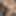 Onlyporn2023