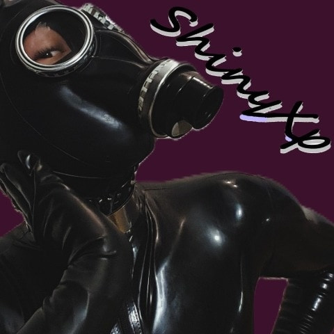ShinySexplorer