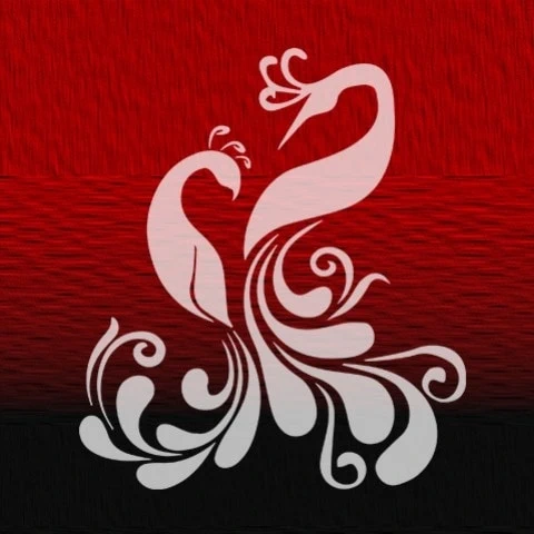 Amateur Porn Video Creators from United States | xHamster