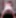 NYCporn69