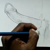 Porndrawing