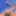 Vicfairy