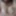 BdSex1656