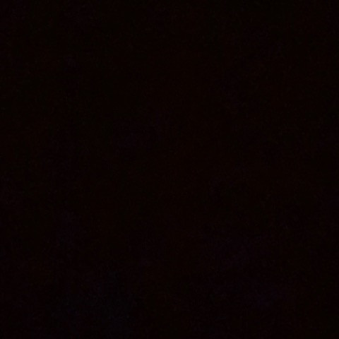 Exposedfagrus
