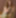 Elizabeth Perkins