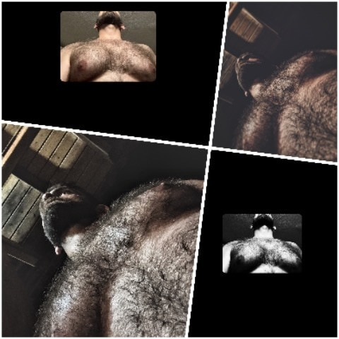 Toughwolfgr