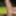 XXXGAMER1998