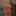 Nina Coxx