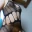 Sanroxs