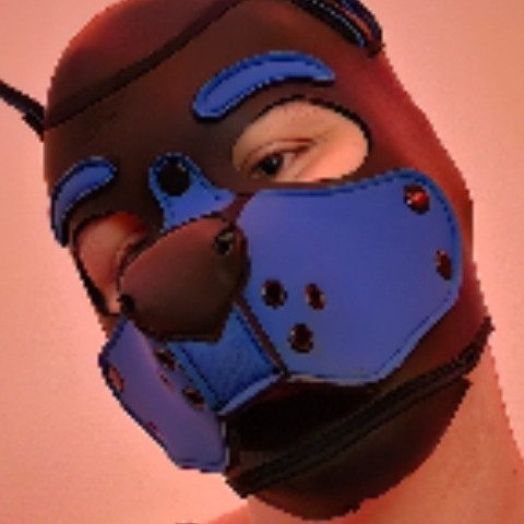 Pup FFei