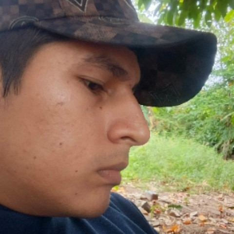 consentidoo