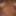savagexxxexpress