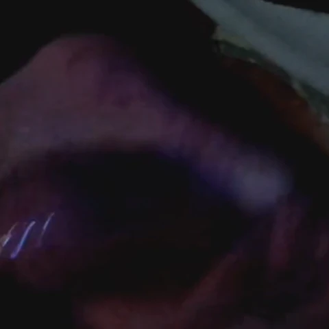 Alan allsex