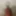 Giant_85