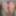 shapemodel