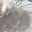 Alexia_mtf