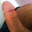 DickGay7