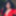 Maribel Guardia
