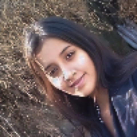 Priya Bhabhi Ns