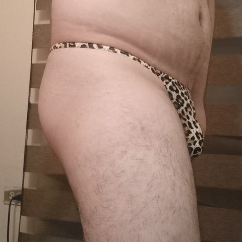 Himbo_Fox