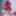 Red_Fox9595