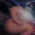 Cumminfslut93