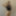 shellysecret