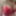 Alexis_0407