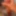 Sexdroidcam 