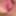 Clit Bby