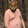 BisonCub