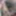SL_Leaks 
